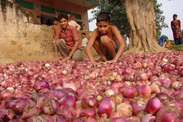 Кракен ссылка onion vtor run