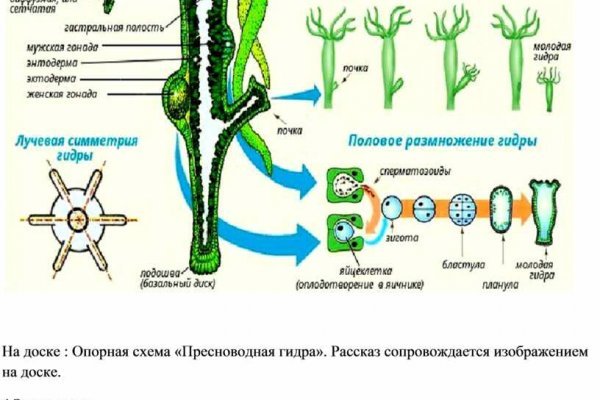 Кракен последние ссылки